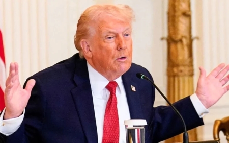 Trump Threatens Rising Tariffs on Europe to Push US Bid for Greenland Purchase