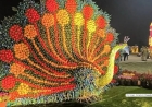 Noida Flower Festival Becomes Major Public Attraction