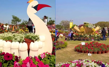 Noida Flower Festival 2026 Opens with Free Entry