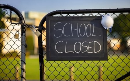 Educational Institutions Closed Due to Transport Disruptions