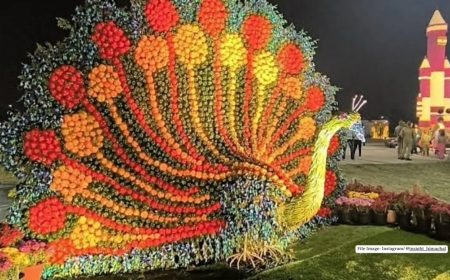 Noida Flower Festival Becomes Major Public Attraction