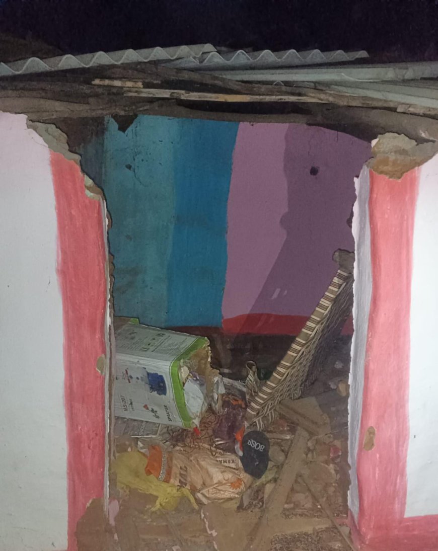 बानो के होलोगंदा गांव में जंगली हाथी का उत्पात, घर क्षतिग्रस्त