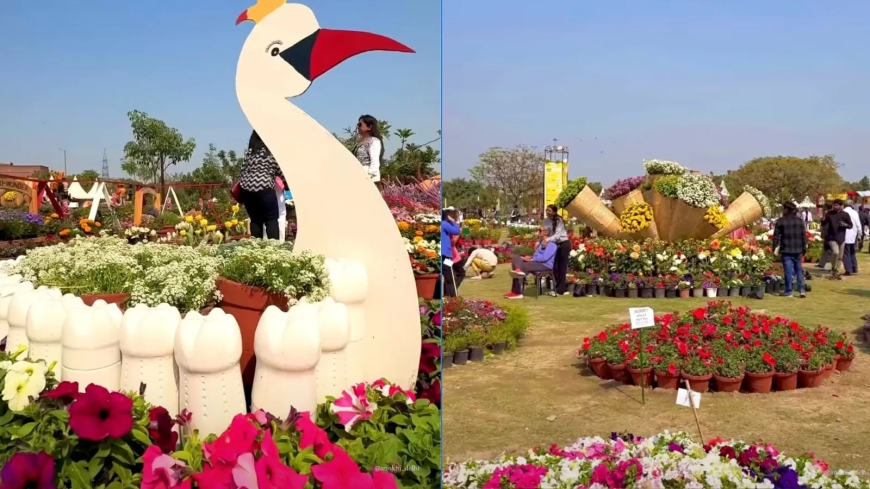Noida Flower Festival 2026 Opens with Free Entry
