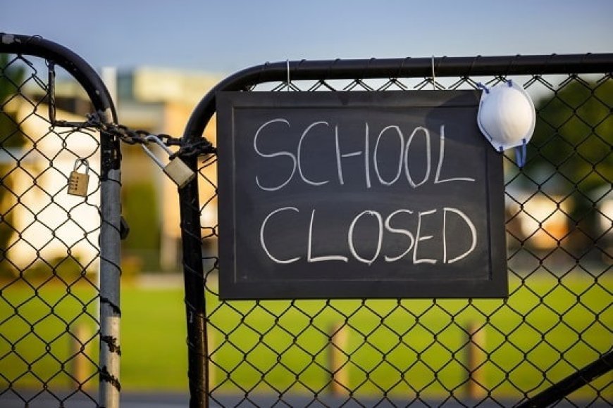 Educational Institutions Closed Due to Transport Disruptions
