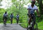 Cycling Culture Gains Popularity in Cities