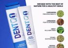 Denta One Herbal Ayurvedic Toothpaste