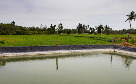 Water Conservation Projects Launched in Several States