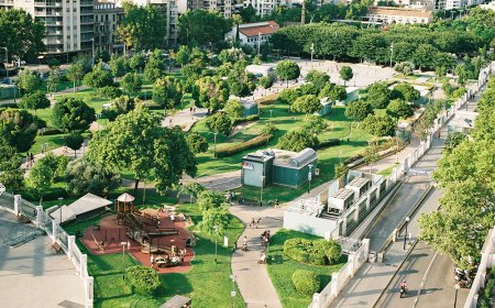 Expansion of City Parks and Green Spaces