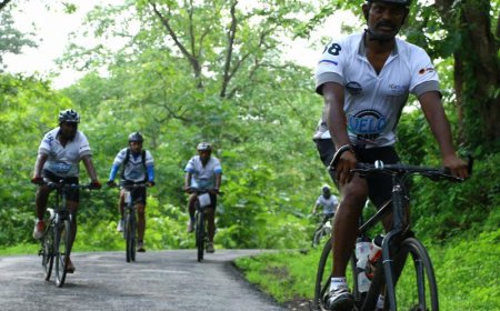 Cycling Culture Gains Popularity in Cities