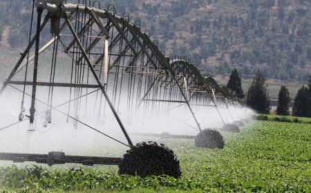 Farmers Adopt Modern Irrigation Techniques