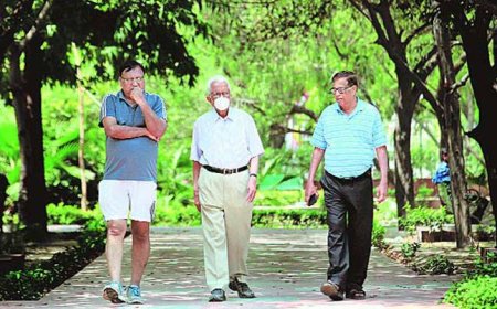 स्थानीय पार्कों में सुबह की सैर करने वालों की संख्या बढ़ी