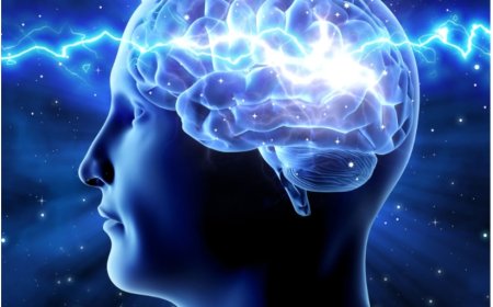 Important facts of human Psychology behaviour