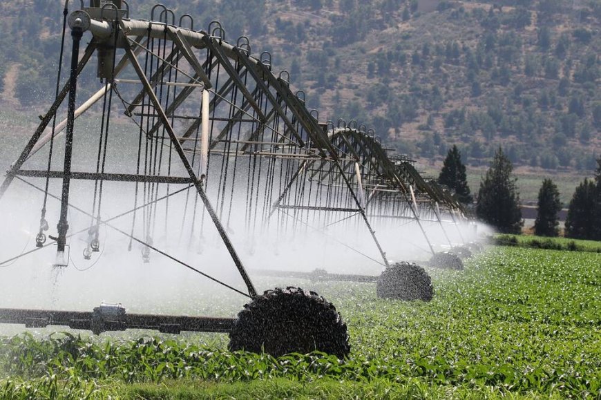 Farmers Adopt Modern Irrigation Techniques