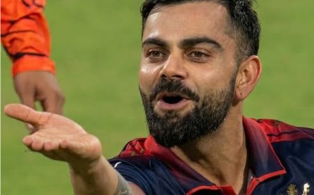 🏏 IPL Performance of Virat Kohli