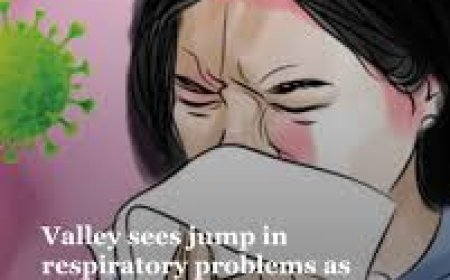 वायु प्रदूषण से सांस की बीमारियां बढ़ीं