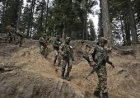 Pakistan Bombing: At least 14 people were killed and over 20 injured in a suicide bombing targeting a peace rally in Pakistan's Khyber Pakhtunkhwa province.