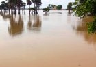Major Flood Situation in Odisha: Northern Districts Face Rising Water Levels and Fresh Rain Threat