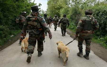 जम्मू-कश्मीर सुरक्षा स्थिति: कुलगाम में प्रवासी मजदूरों पर आतंकी हमला और सुरक्षा बलों का घेराबंदी व तलाशी अभियान (CASO)