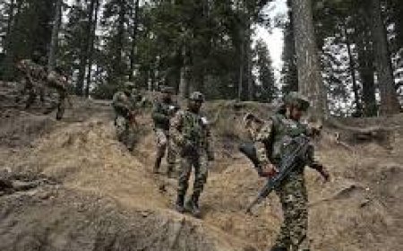 Pakistan Bombing: At least 14 people were killed and over 20 injured in a suicide bombing targeting a peace rally in Pakistan's Khyber Pakhtunkhwa province.