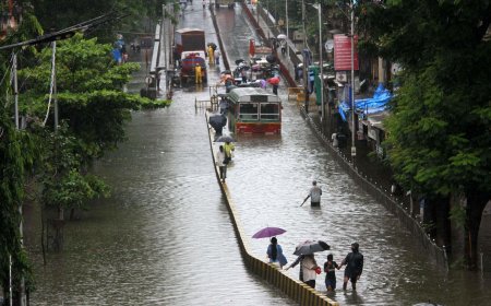 IMD Issues Heavy Rainfall Alerts Across India: Red Alert for Kerala, Warnings for Northeast and Other Regions
