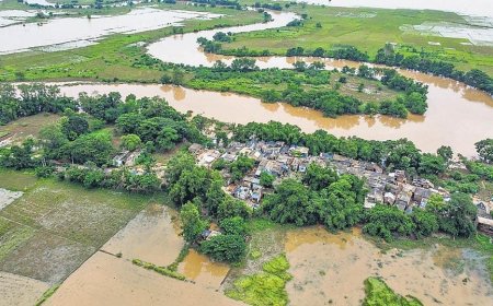 Flood Situation in Odisha: 13.7 Lakh People Affected