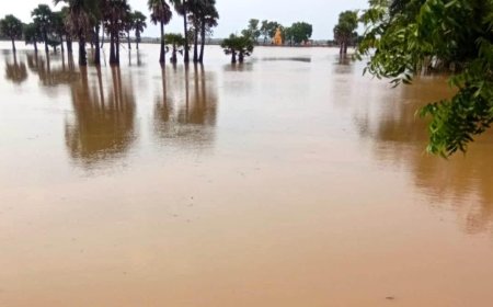 Major Flood Situation in Odisha: Northern Districts Face Rising Water Levels and Fresh Rain Threat