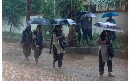 Odisha Schools Closed in Four Districts Amid Heavy Rainfall