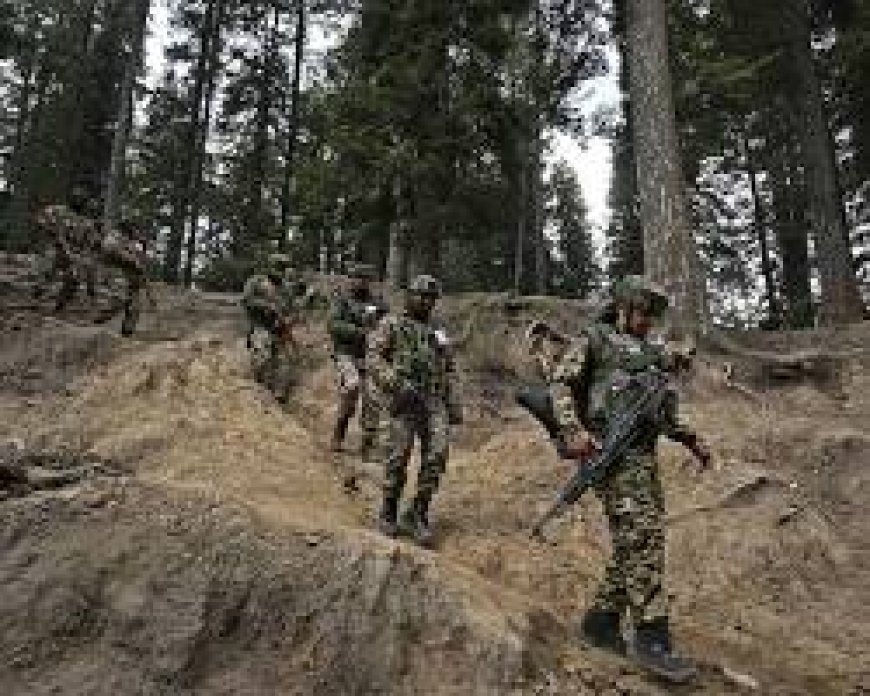 Pakistan Bombing: At least 14 people were killed and over 20 injured in a suicide bombing targeting a peace rally in Pakistan's Khyber Pakhtunkhwa province.