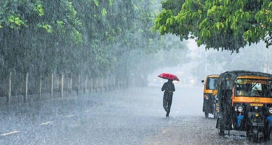 IMD Issues Heavy Rainfall Alerts Across India: Red Alerts for Madhya Pradesh, Assam, and Kerala as Monsoon Intensifies
