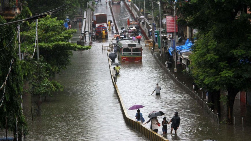 IMD Issues Heavy Rainfall Alerts Across India: Red Alert for Kerala, Warnings for Northeast and Other Regions