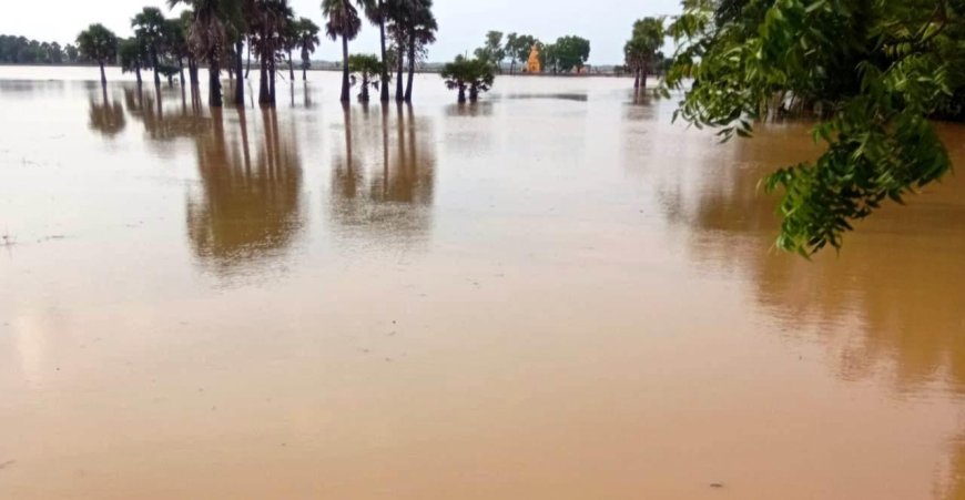 Major Flood Situation in Odisha: Northern Districts Face Rising Water Levels and Fresh Rain Threat